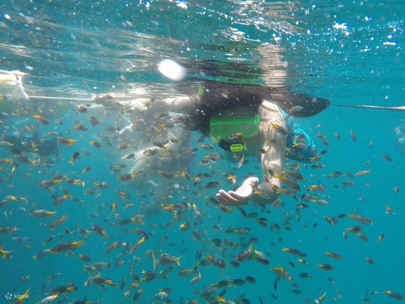 Jardin sous-marin de Toufu Cape